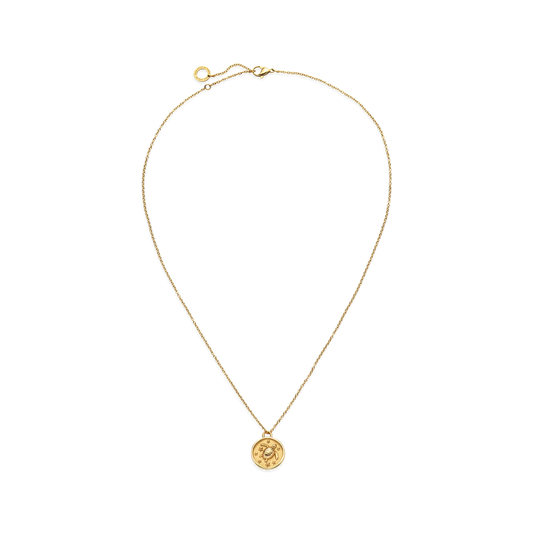 Turtle Coin Necklace Gold