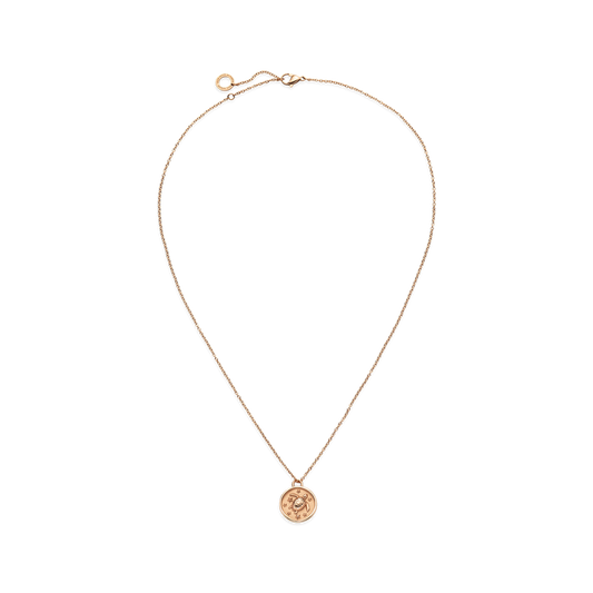 Turtle Coin Necklace Rose Gold