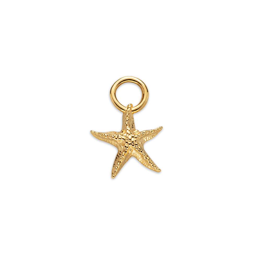 Links of 2025 london starfish charm