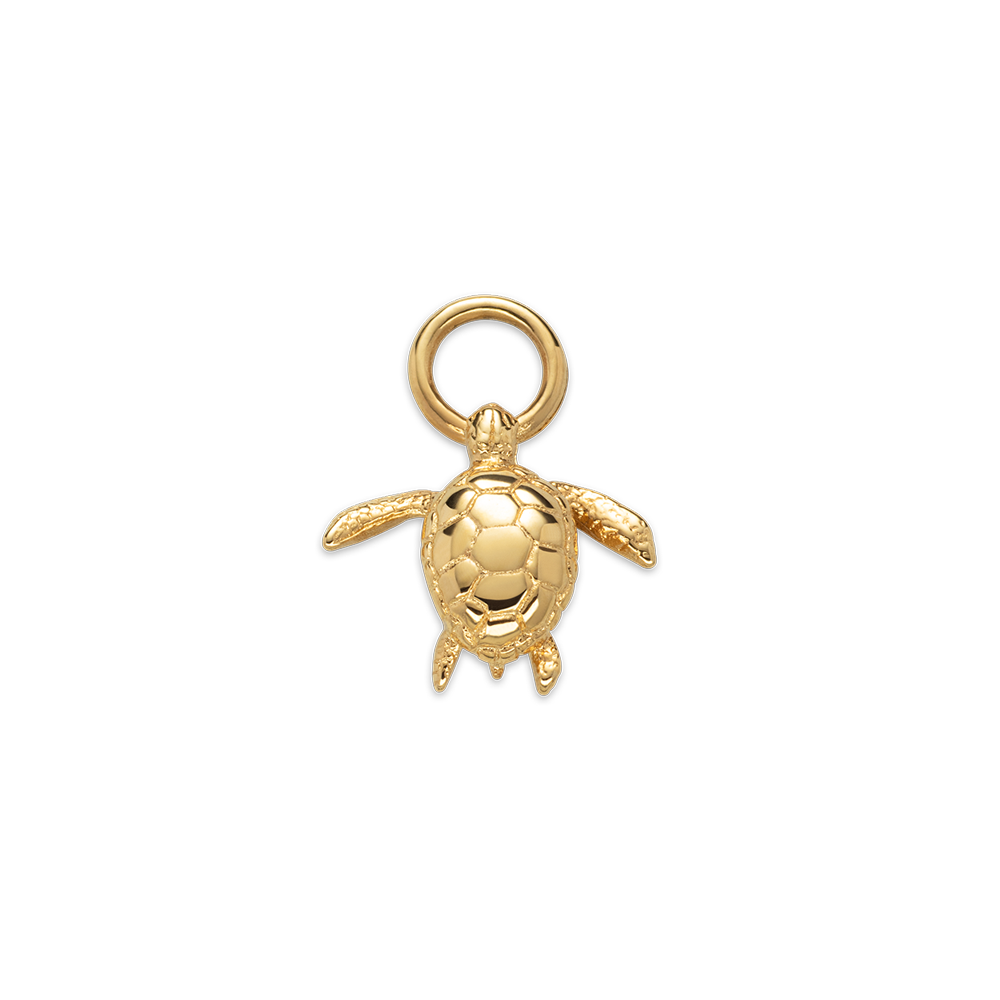 Gold turtle charm discount