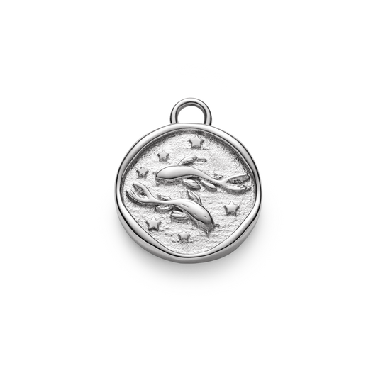 Pisces-Charm-Silver-NEW-SIZE