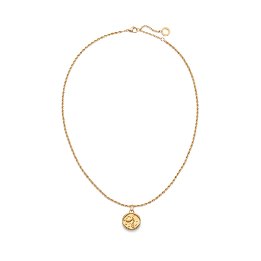 Rope-Necklace-Aquarius-Charm-Gold-MariniumNEW-SIZE