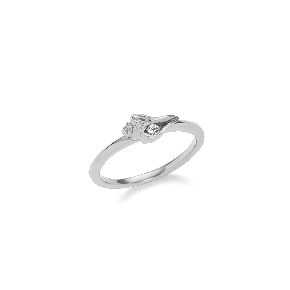 Sea Shell Ring Silver