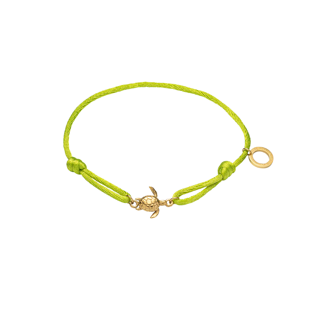 Turtle Band Seaweed Green