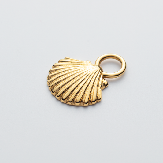 Set Scallop Shell Charm and Necklace Gold