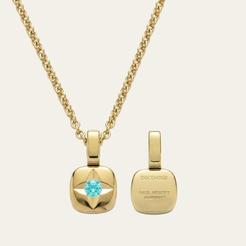 Birthstone December Halskette Gold
