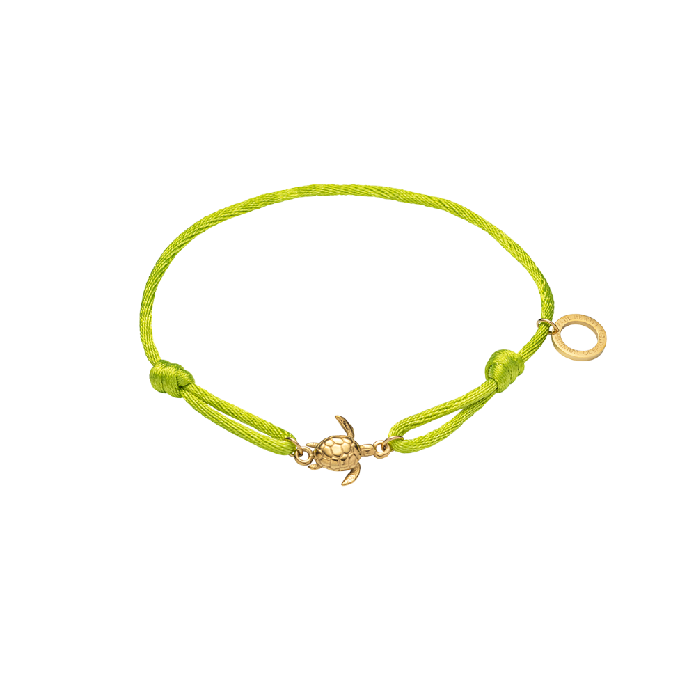 Turtle Bande Seaweed Green