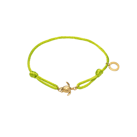 Turtle Band Seaweed Green