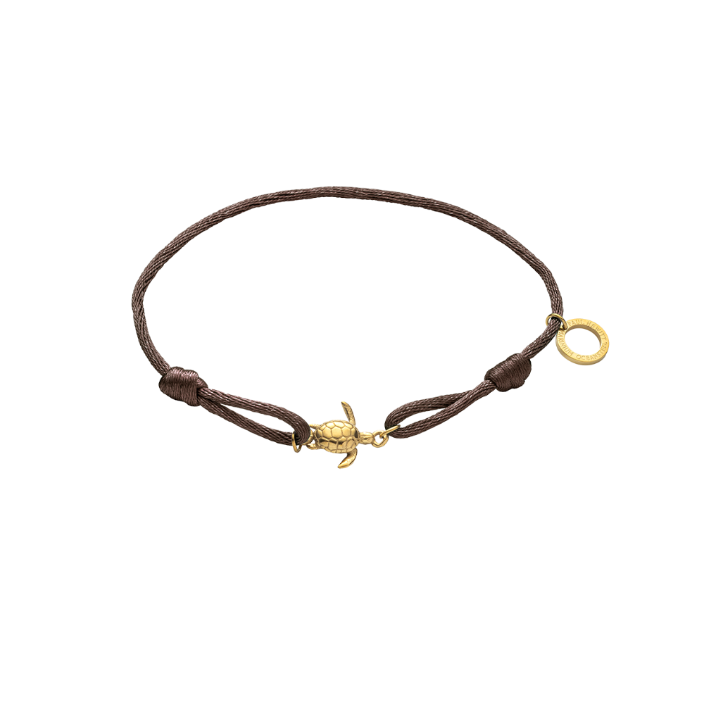 Turtle Bande Driftwood Brown