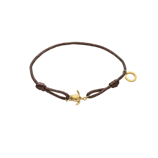 Turtle Band Driftwood Brown