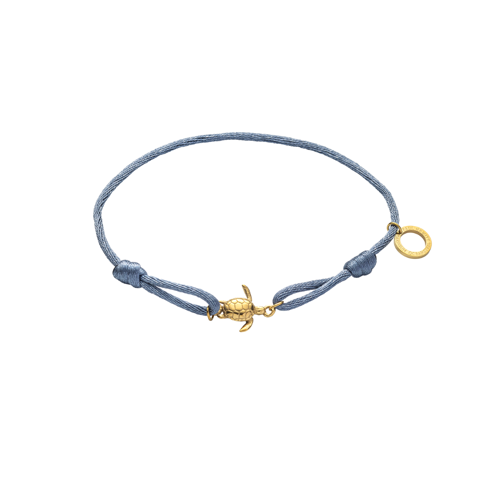 Turtle Bande Marinium Blue