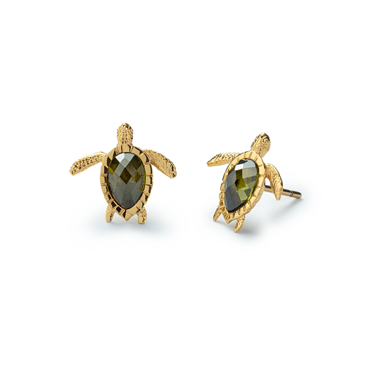 Set Turtle Gold