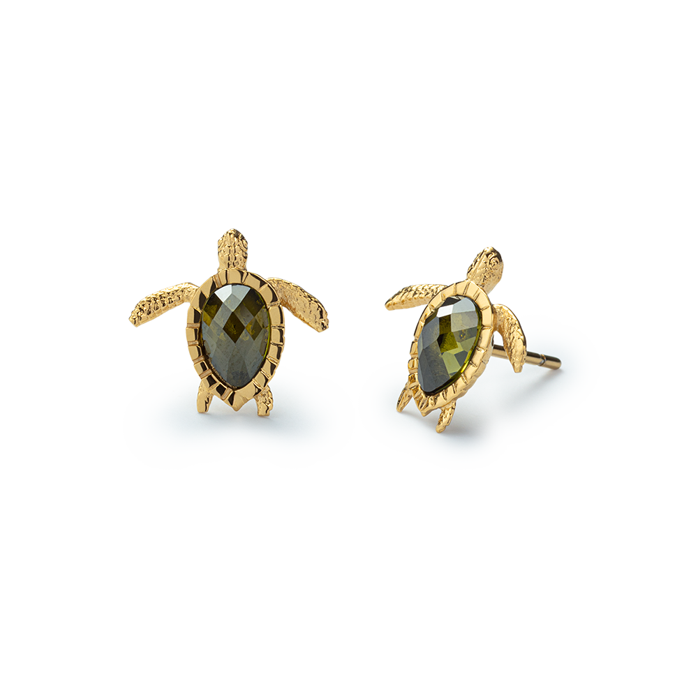 Set Turtle III Gold