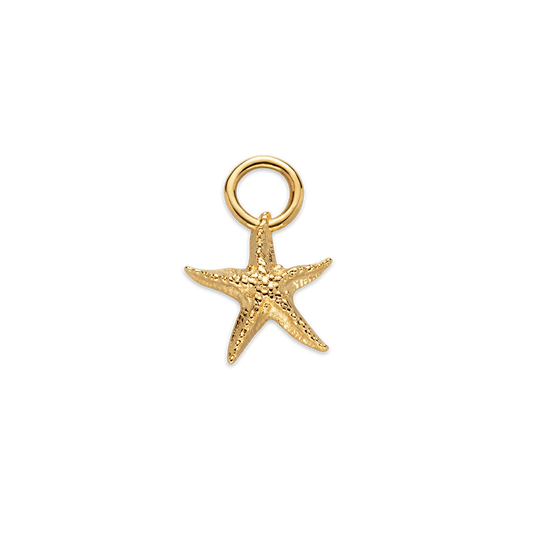 Set Starfish Charm und Halskette Gold