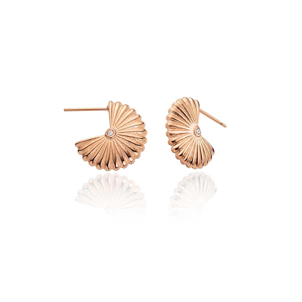 Scallop Ohrstecker Roségold