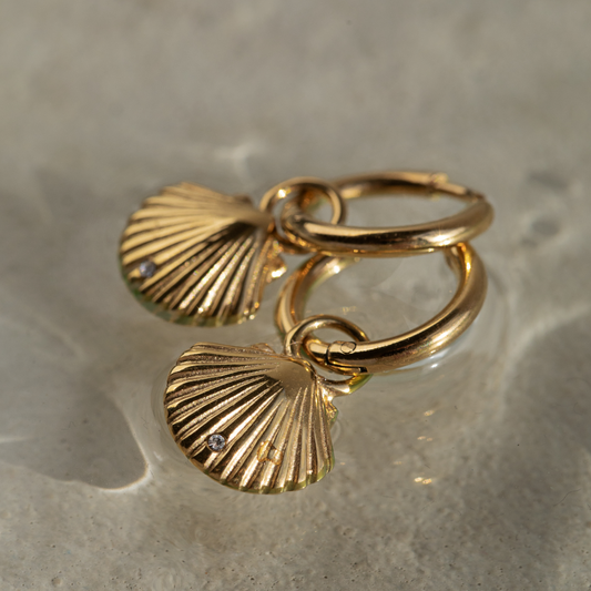 Scallop Ohrring Gold