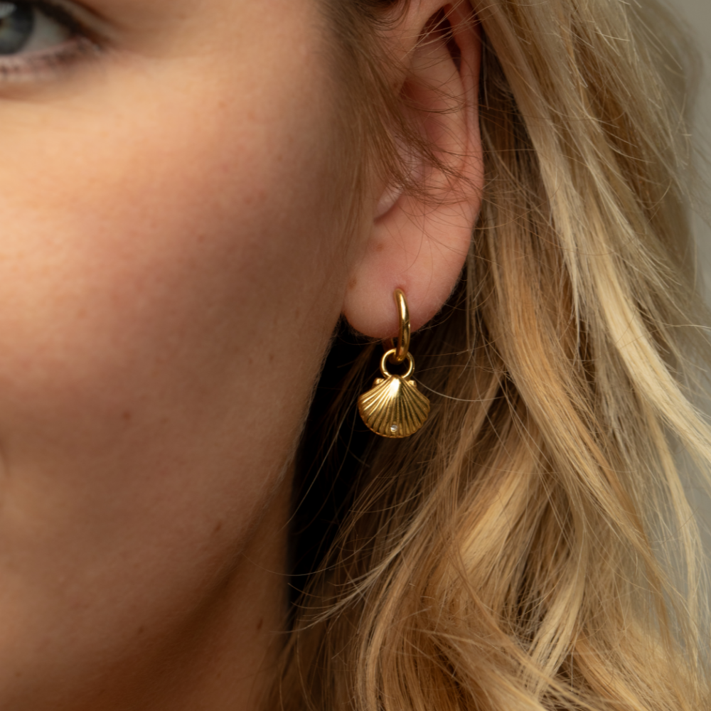 Scallop Ohrring Gold