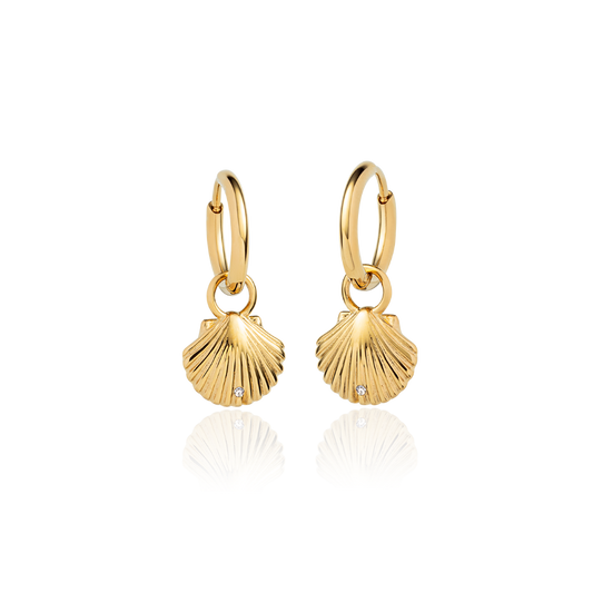 Scallop Ohrring Gold