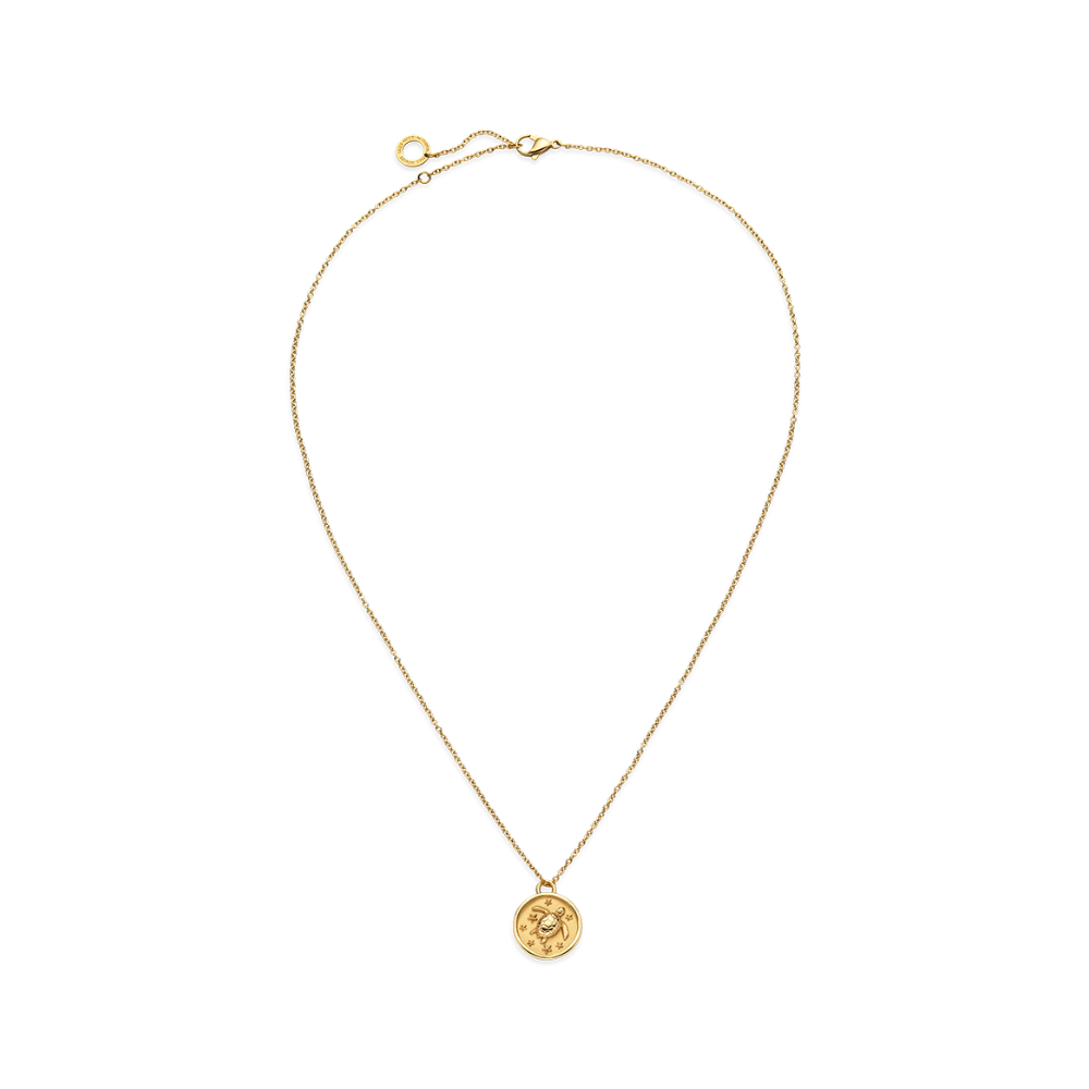 Turtle Coin Halskette Gold