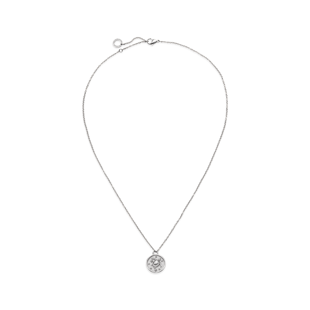 Turtle Coin Halskette Silber