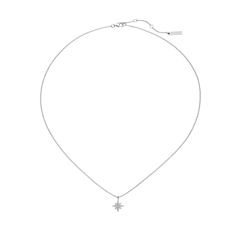 Windrose Mono Necklace Silver