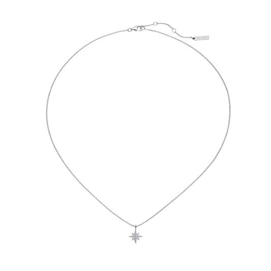Windrose Mono Necklace Silver