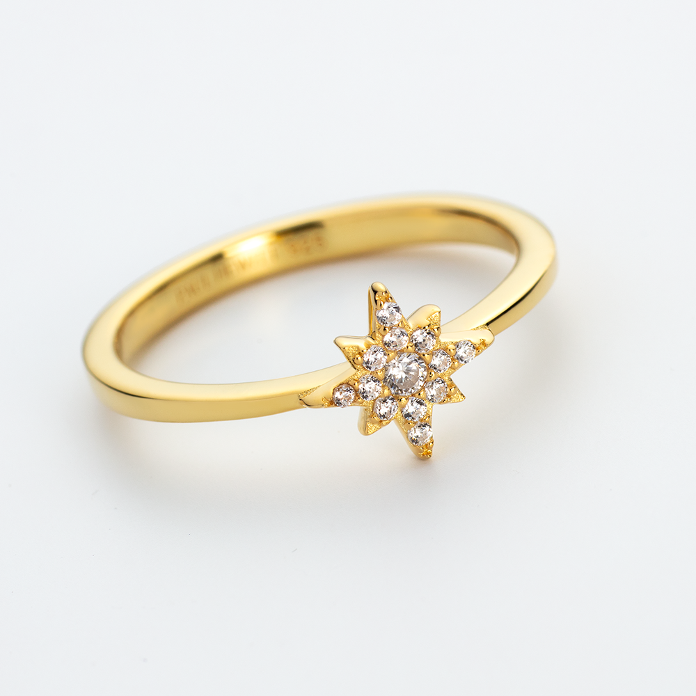 Windrose Mono Ring Gold