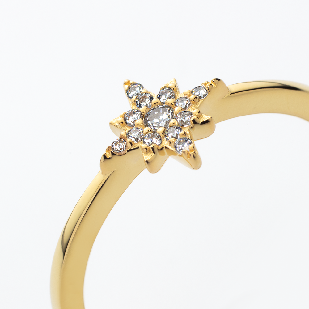 Windrose Mono Ring Gold