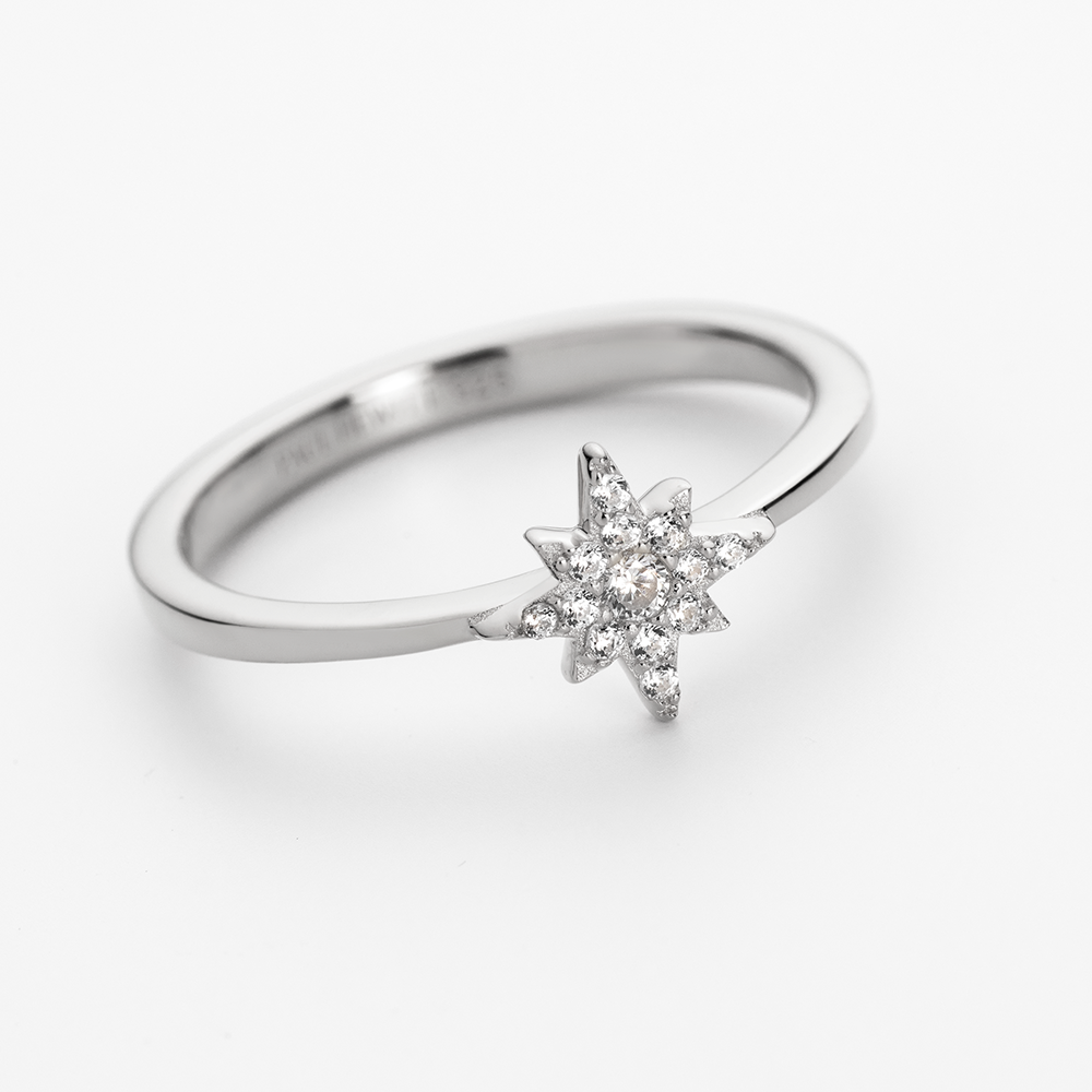 Windrose Mono Ring Silber