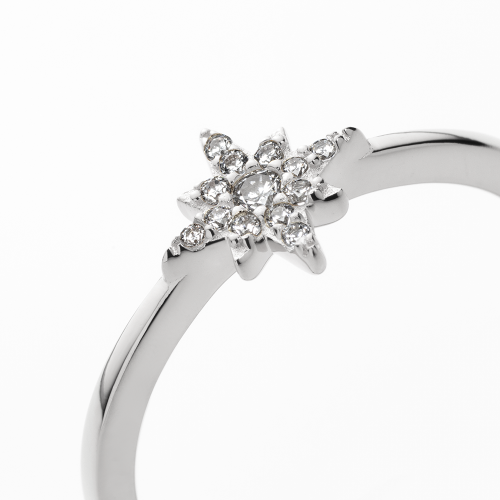 Windrose Mono Ring Silber