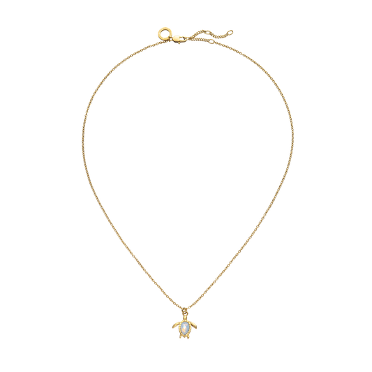 Turtle Mono Collier White Breeze Or