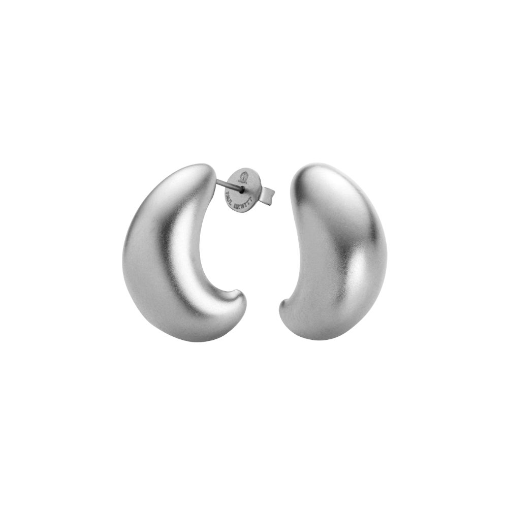 Waves Motion Earring Silver