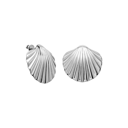 Scallop Big Boucle d'oreille Argent