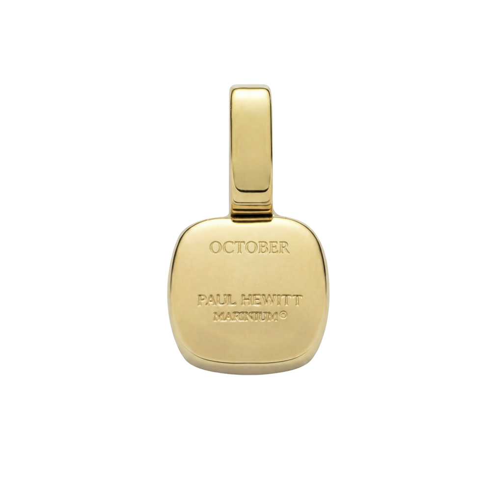 Set Birthstone Charm October und Halskette Gold