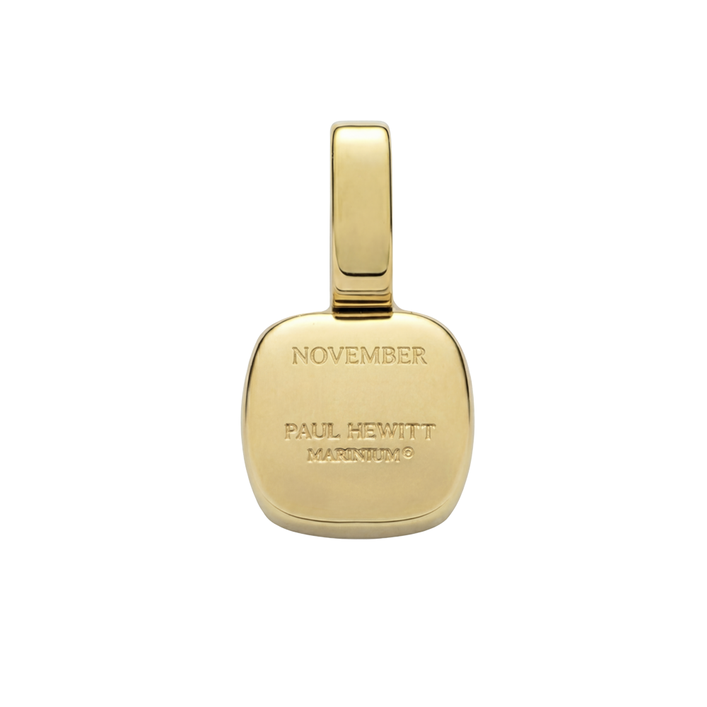 Set Birthstone Charm November und Halskette Gold