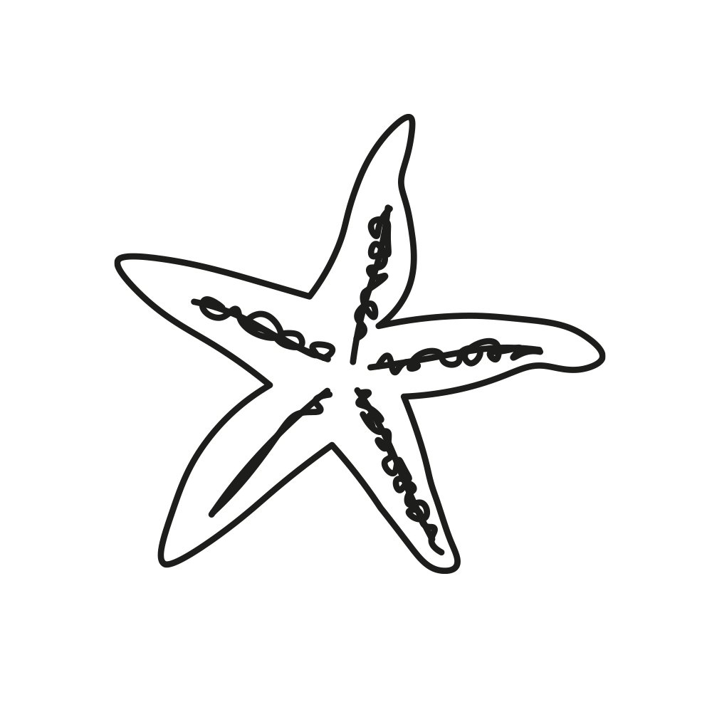 Sea Star 4 Tattoo M