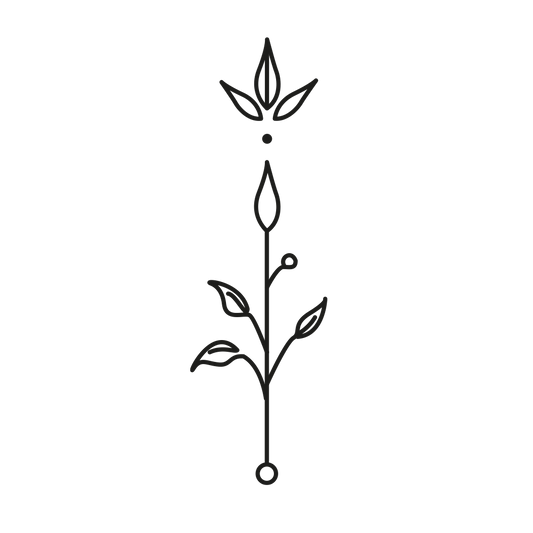 Plant Ornament Tattoo