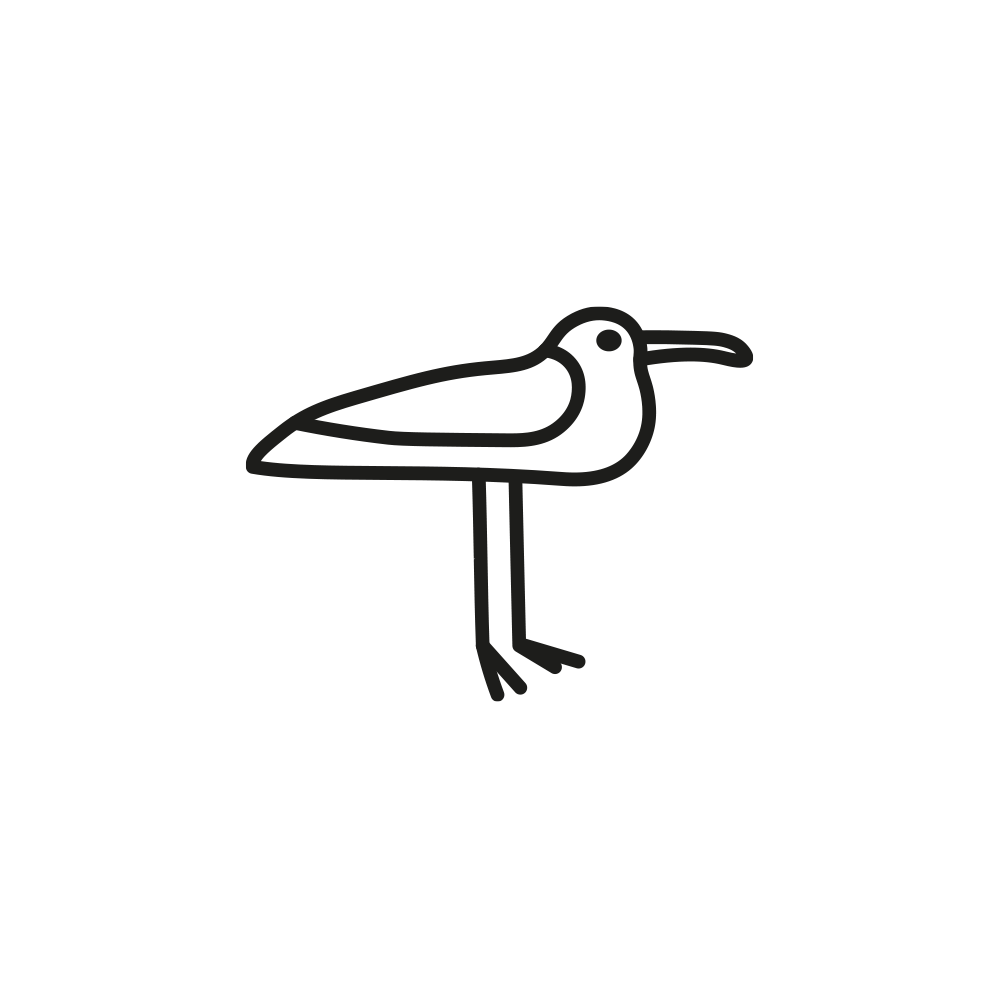 Men's Seagull 1 Tattoo