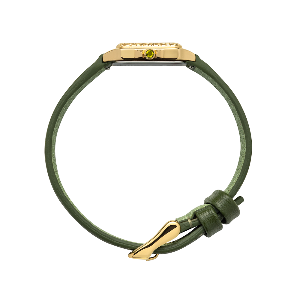 Petite Tortue turtle green