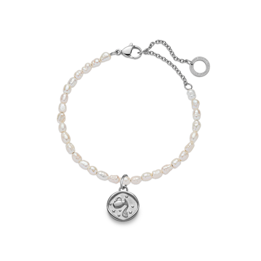 Aquarius Charm Silver