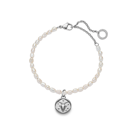 Capricorn Charm Silver