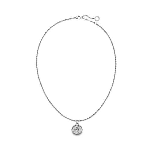 Aquarius Charm Silver