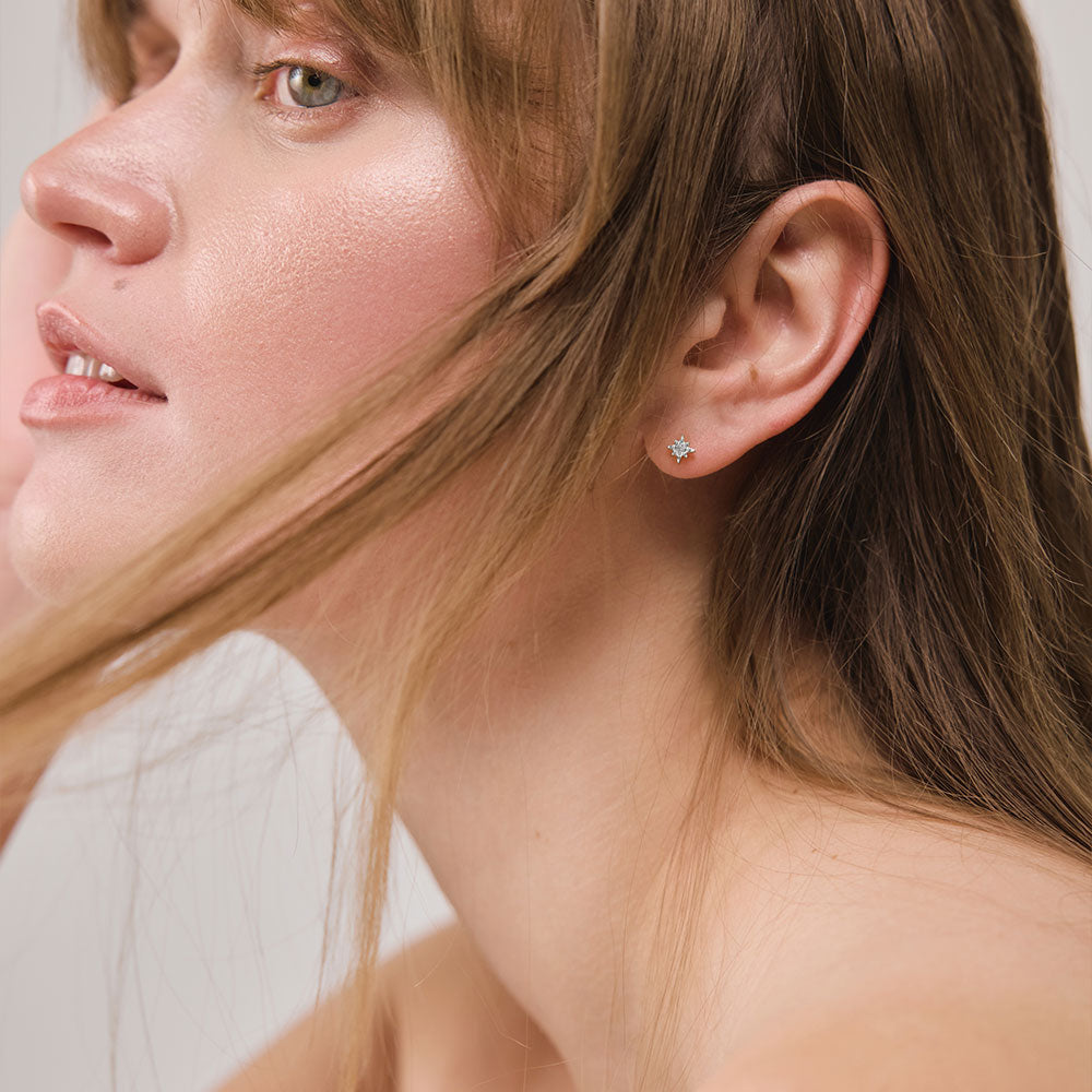 Windrose Mono Ohrring Silber