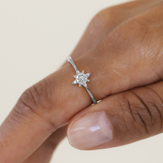 Windrose Mono Ring Silver