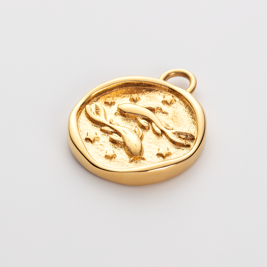 Set Pisces Charm und Halskette Gold