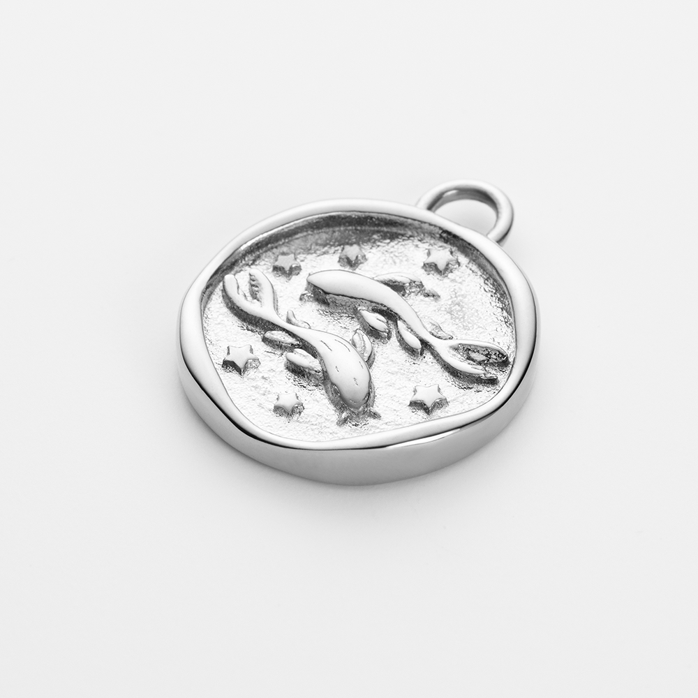 Set Pisces Charm und Armkette Silber