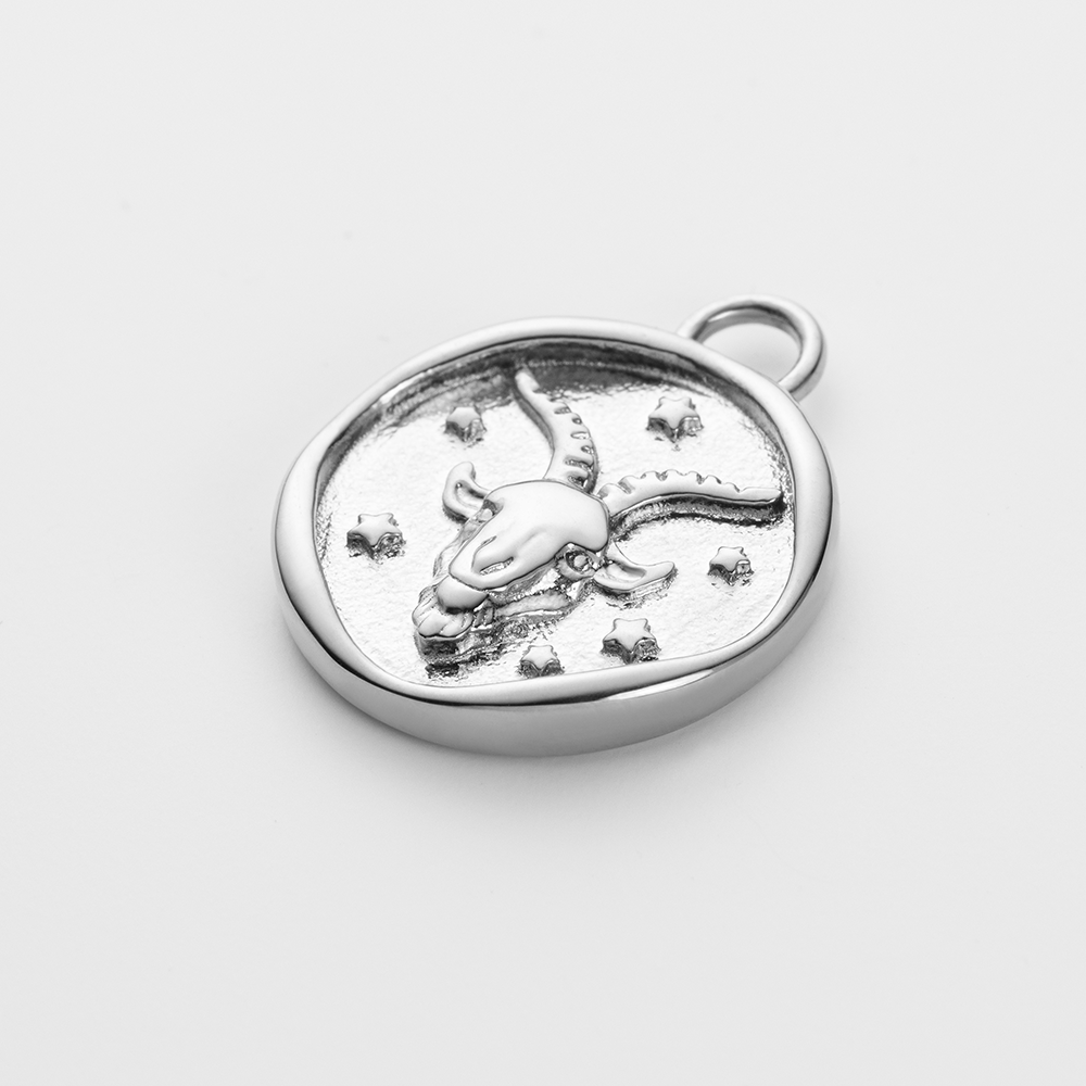 Set Capricorn Charm und Halskette Silber