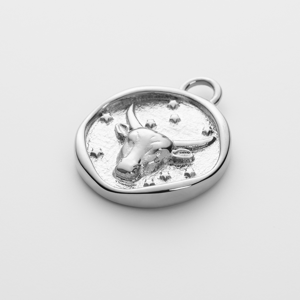 Set Taurus Charm und Halskette Silber