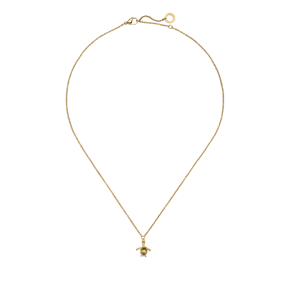 Set Turtle III Gold