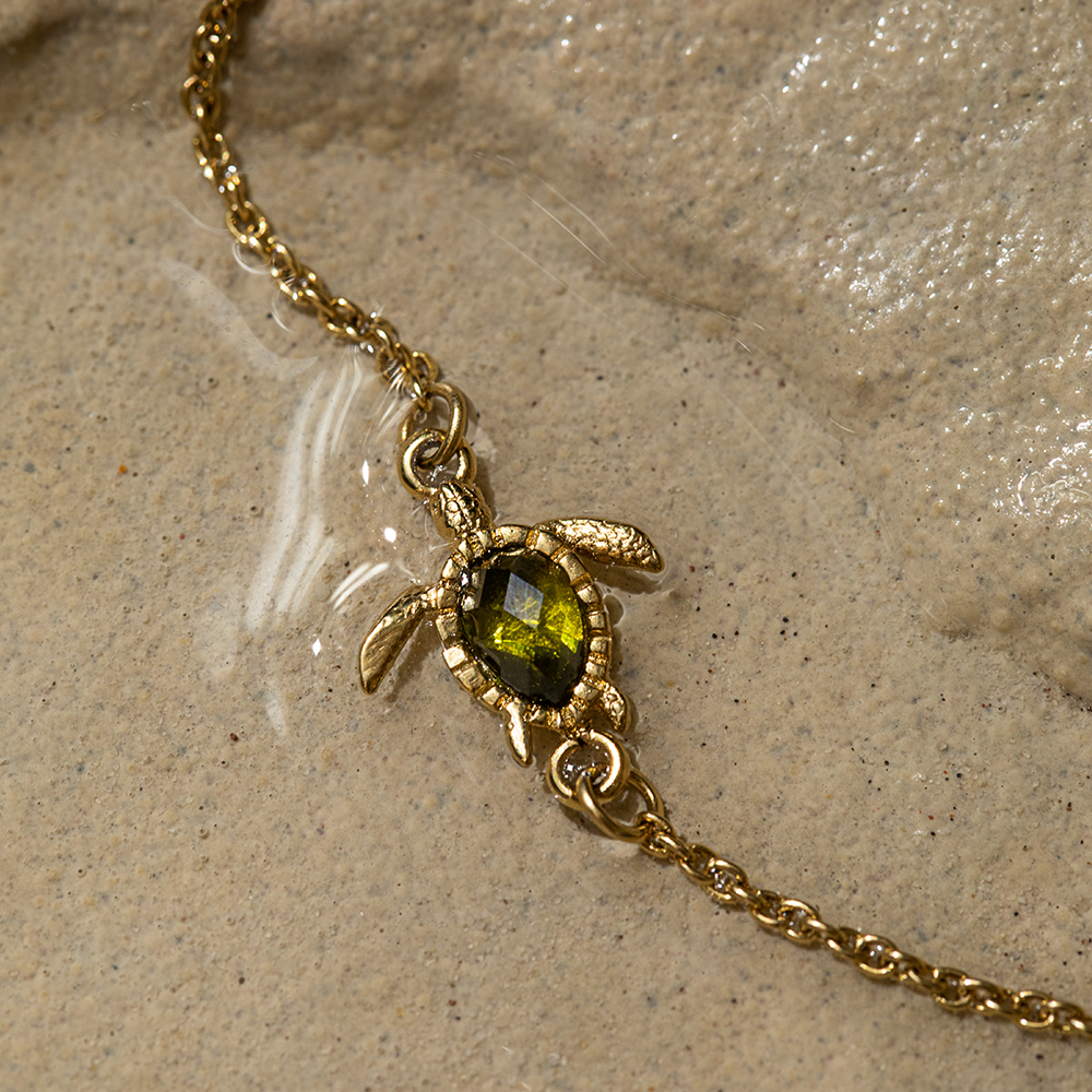 Set Turtle IV Gold